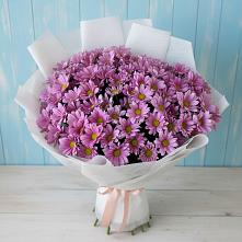 Букет цветов из:  Хризантемы #REPLACE_PRED# Заветном