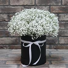 Цветочная композиция из Гипсофила в шляпной коробке #REPLACE_PRED# Заветном