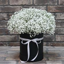 Цветочная композиция из Гипсофила в шляпной коробке в Заветном